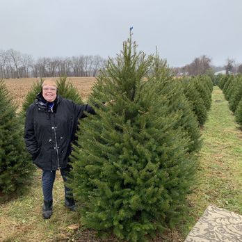 Wyckoff's Christmas Tree Farm - Christmas Trees Near Me - Belvidere, New Jersey Wyckoff's Christmas Tree Farm - Christmas Trees Near Me - Belvidere, New Jersey