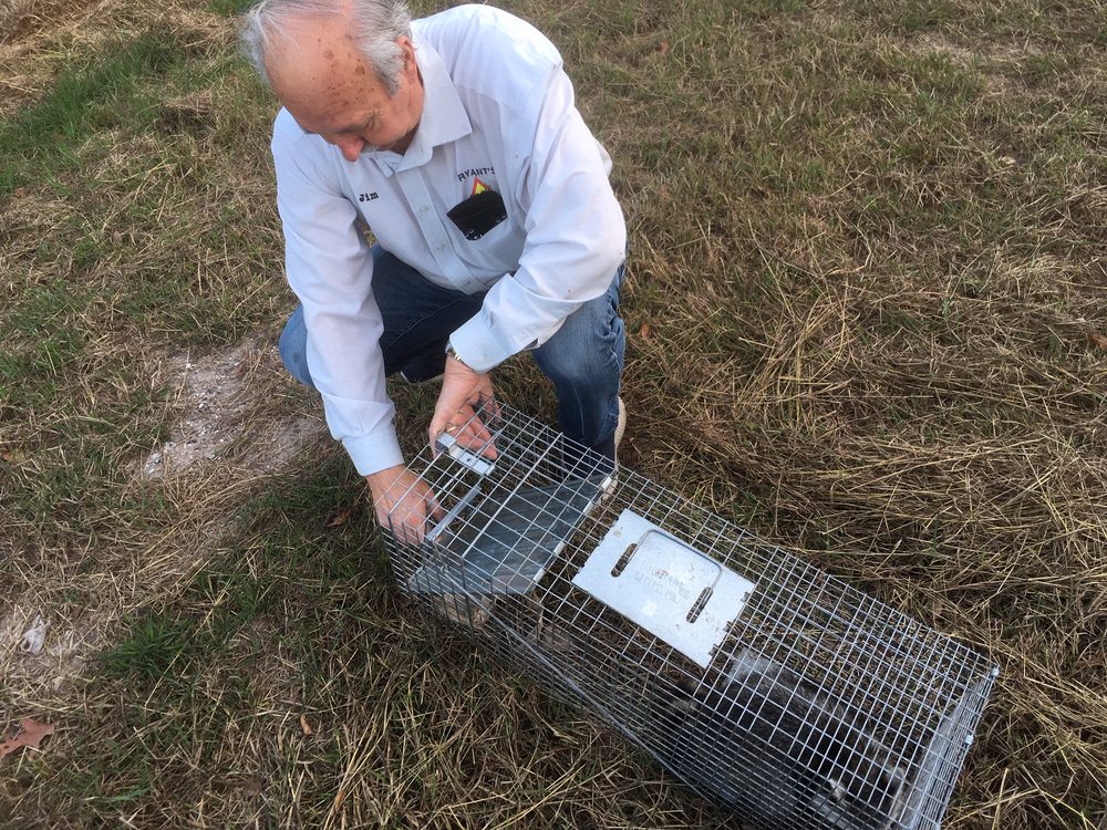 BRYANT’S PEST CONTROL Updated August 2024 1306 Mercury Dr, Houston, Texas Pest Control