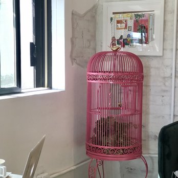Deseo Coffee Shack - Cute decor - Coffee & Tea Near Me - Phoenix, Arizona