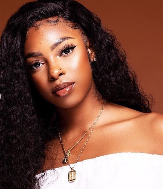 Luminous Locks Virgin Hair 2019 All You Need To Know Before You