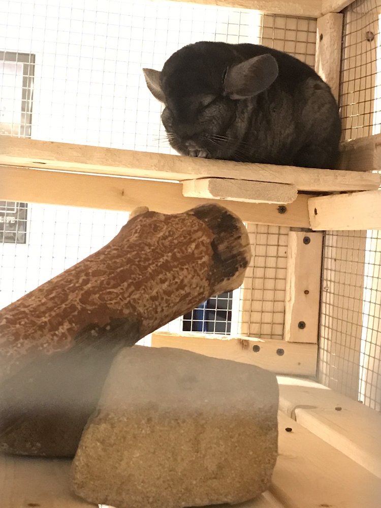 ELEANOR BUCK WOLF NATURE CENTER Updated September 2024 156 Prospect