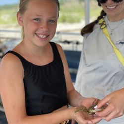 Barrier Island Ecotours