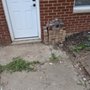 Photo of Matt Spencer’s Landscaping