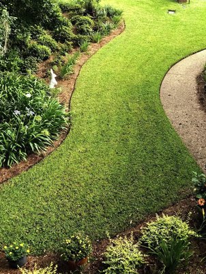 Need Lawn care maintenance? - Need Lawn care maintenance?