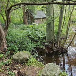 Willowwood Arboretum