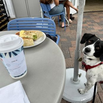 Java Earth Coffee La Jolla - Patio area - Coffee & Tea Near Me - San Diego, California Java Earth Coffee La Jolla - Patio area - Coffee & Tea Near Me - San Diego, California