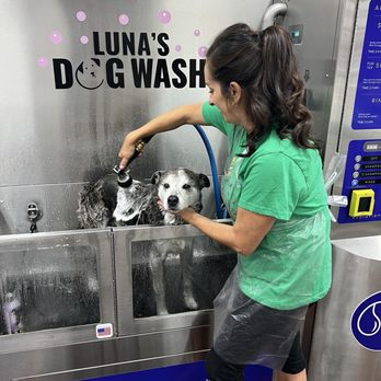 Luna's Dog Wash - 11 year old senior dog, it was so easy! - Pet Groomers Near Me - Glendora, California Luna's Dog Wash - 11 year old senior dog, it was so easy! - Pet Groomers Near Me - Glendora, California