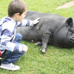 Cerza zoo