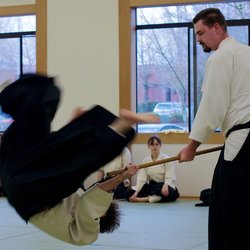 Oregon Ki Society - Advanced throw, using a jo (a staff)