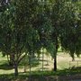 Photo of Sedgeley Park