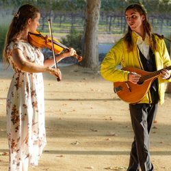 Townley Music - Violin, Fiddle, Mandolin, Irish Music, Musicians, Weddings, Events