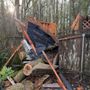 Photo of Clear Cut Junk Removal