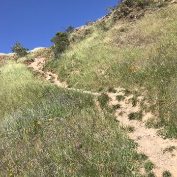 Rount Top Hiking Trail - trail - Hiking Near Me