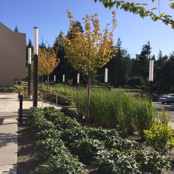 Bay Area Hospital - Hospitals Near Me - Coos Bay, Oregon Bay Area Hospital - Hospitals Near Me - Coos Bay, Oregon