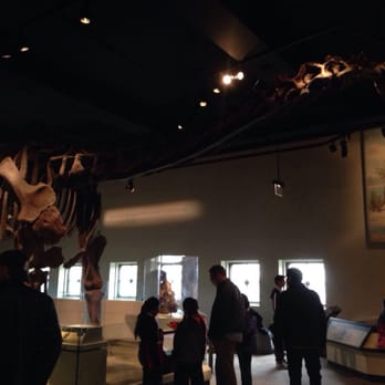 Field Museum - Museums Near Me - Chicago, Illinois Field Museum - Museums Near Me - Chicago, Illinois