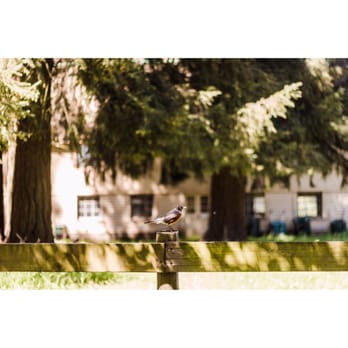 A Rocha - Community Service/Non-Profit Near Me - Surrey, British Columbia