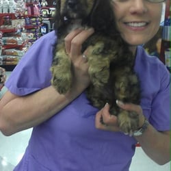 Lap of Love - Puppy days are the BEST days