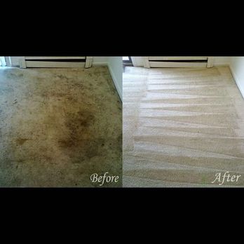 We Clean Green - Look at that - Damage Restoration Near Me - San Diego, California We Clean Green - Look at that - Damage Restoration Near Me - San Diego, California