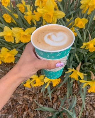 Fiddleheads Coffee Mequon by null