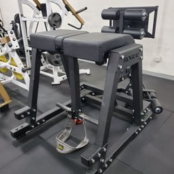 GYM N°5 - Reverse hyper/GHD Combo