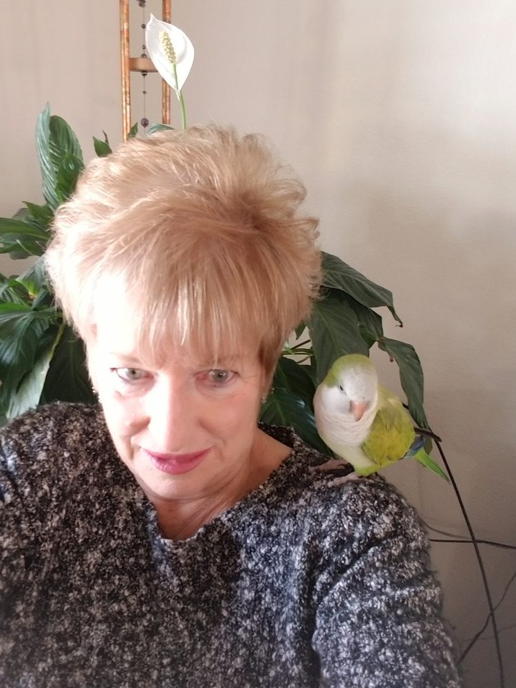 DESERT VALLEY DENTAL Updated May 2024 420 Usa Pkwy, Sparks, Nevada