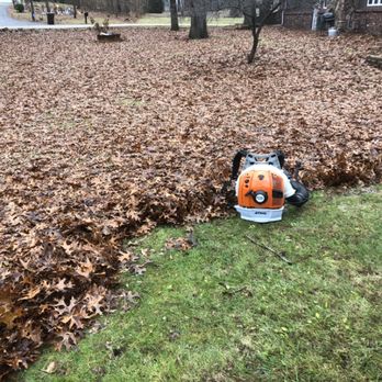 Luna landscaping - Masive Clean-Up - Landscaping Near Me - Kankakee, Illinois Luna landscaping - Masive Clean-Up - Landscaping Near Me - Kankakee, Illinois