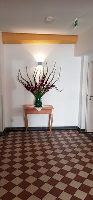 Hotel Elch by null