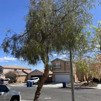 Green Horizon Tree And Landscape - Tree - Landscaping Near Me
