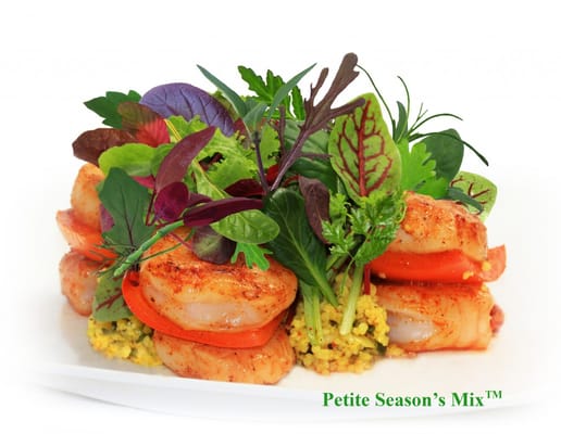 Fresh Origins by null