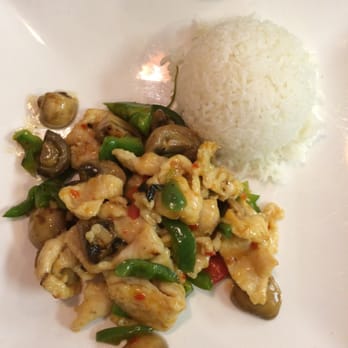 Koyame - Thai chicken lunch portion - Asian Fusion Near Me - Lady Lake, Florida Koyame - Thai chicken lunch portion - Asian Fusion Near Me - Lady Lake, Florida