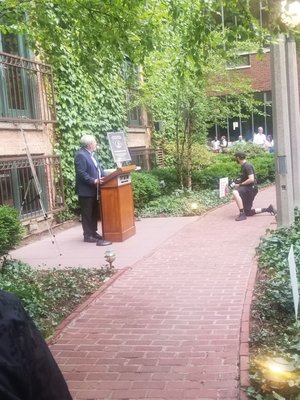 The Ivy Room At Tree Studios by null