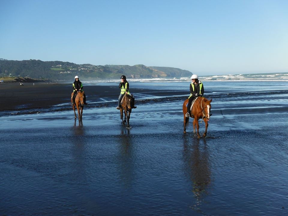 ABOUT RIDING Coast Rd, Waimauku, Auckland, New Zealand Horseback