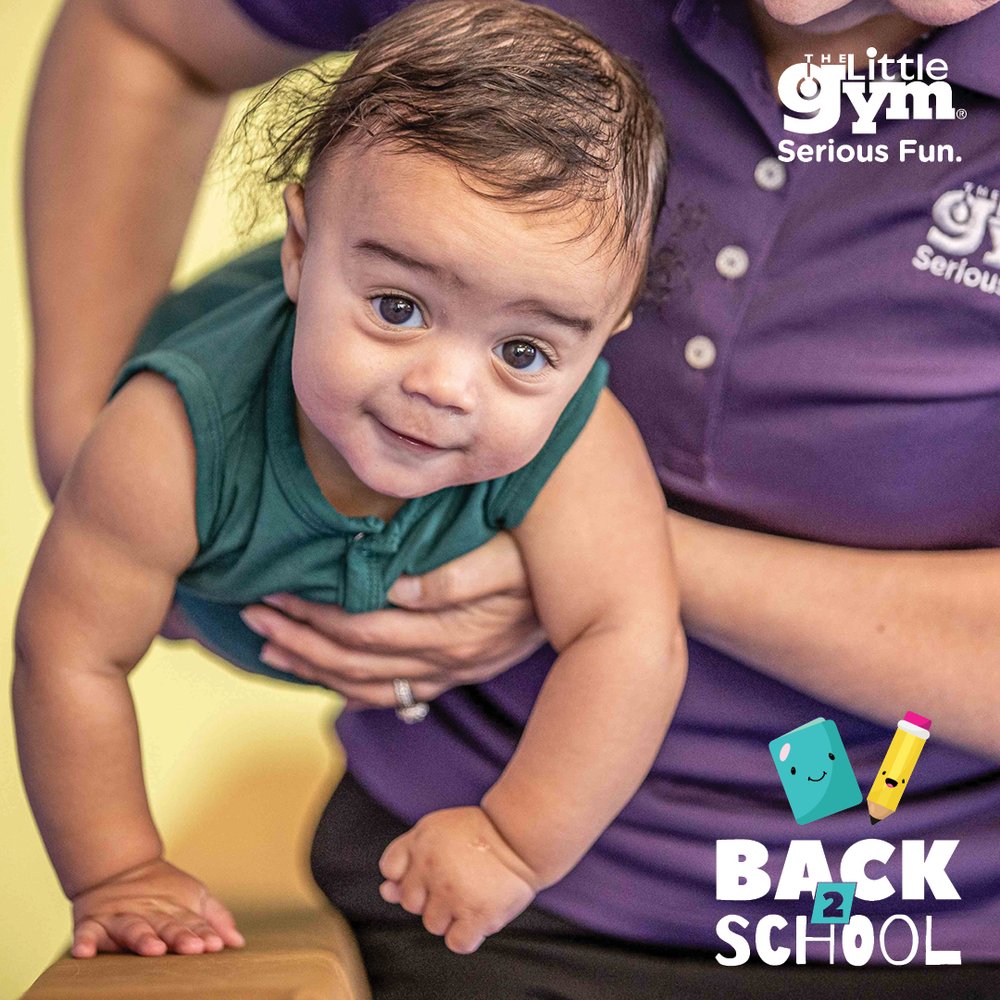 THE LITTLE GYM OF MEDWAY Updated September 2024 12 Photos 74 Main