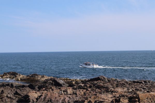 Marginal Way Preservation Fund by null