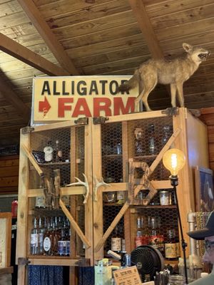 Wildcat Brothers Distilling at Gator Cove by null