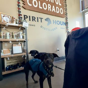 Spirit Hound Distillers - Dog friendly - Distilleries Near Me - Denver, Colorado Spirit Hound Distillers - Dog friendly - Distilleries Near Me - Denver, Colorado