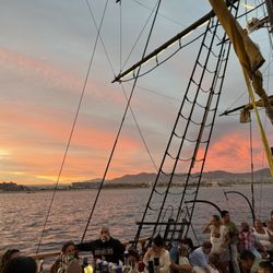 Wild Cabo Tours