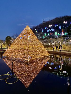 Ashikaga Flower Park by null