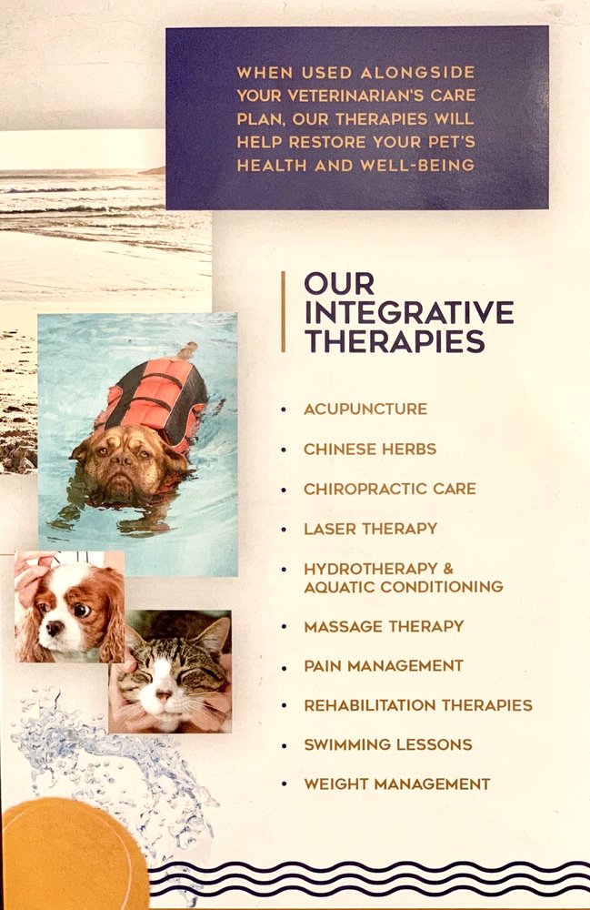 ANIMAL WELLNESS CENTER OF OC Updated August 2024 195 Photos & 42 Reviews 449 W Bay St