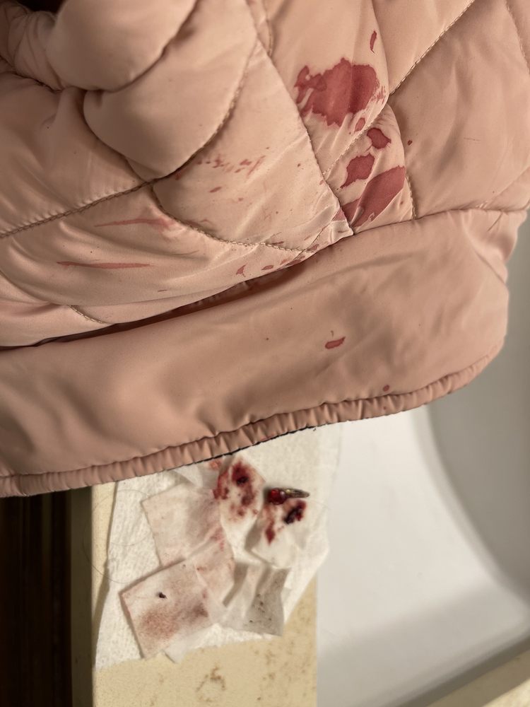 Social Services Agency - social services organization in San Jose, CA