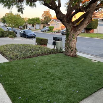 Ruff n Tuff Turf - After - Artificial Turf Near Me - Irvine, California