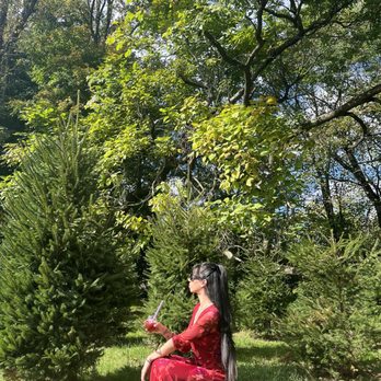 4JG's Vineyards - beautiful greenery everywhere - Wine Tasting Room Near Me - Colts Neck, New Jersey