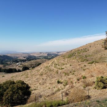 Big Dog Vineyards - Venues & Event Spaces Near Me - Milpitas, California