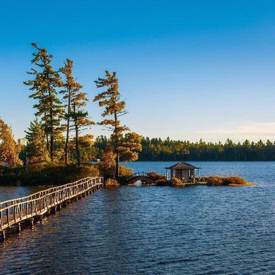 White Pine Camp by null