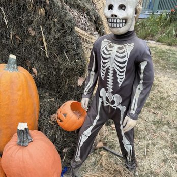 Spooky Swap Meet - Museums Near Me - Los Angeles, California
