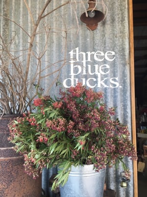 The Farm Byron Bay by null