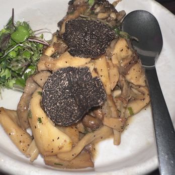 MILA Restaurant - Truffle pasta!! - Mediterranean Near Me - Miami Beach, Florida MILA Restaurant - Truffle pasta!! - Mediterranean Near Me - Miami Beach, Florida