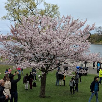 High Park - Parks Near Me - Toronto, Ontario