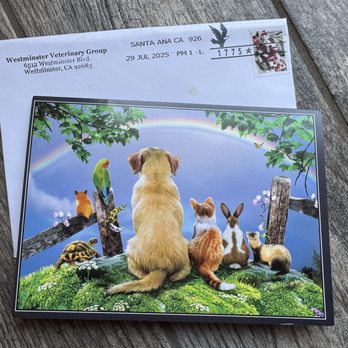 Westminster Veterinary Group - Veterinarians Near Me - Westminster, California