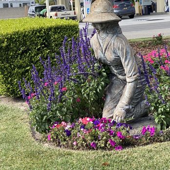 Armstrong Garden Centers - Outside - Nurseries & Gardening Near Me - Huntington Beach, California